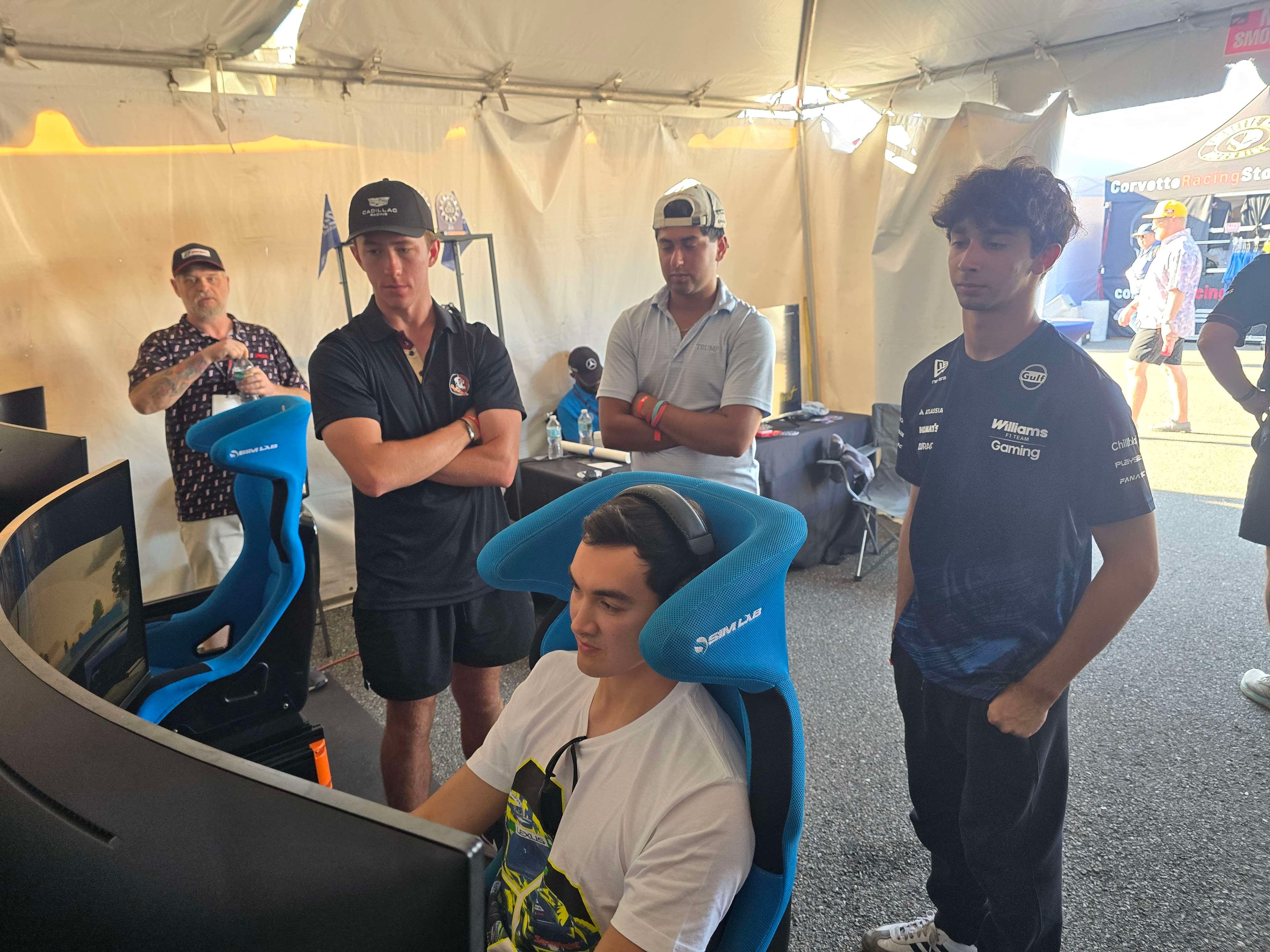 Professional interaction during simulation experience